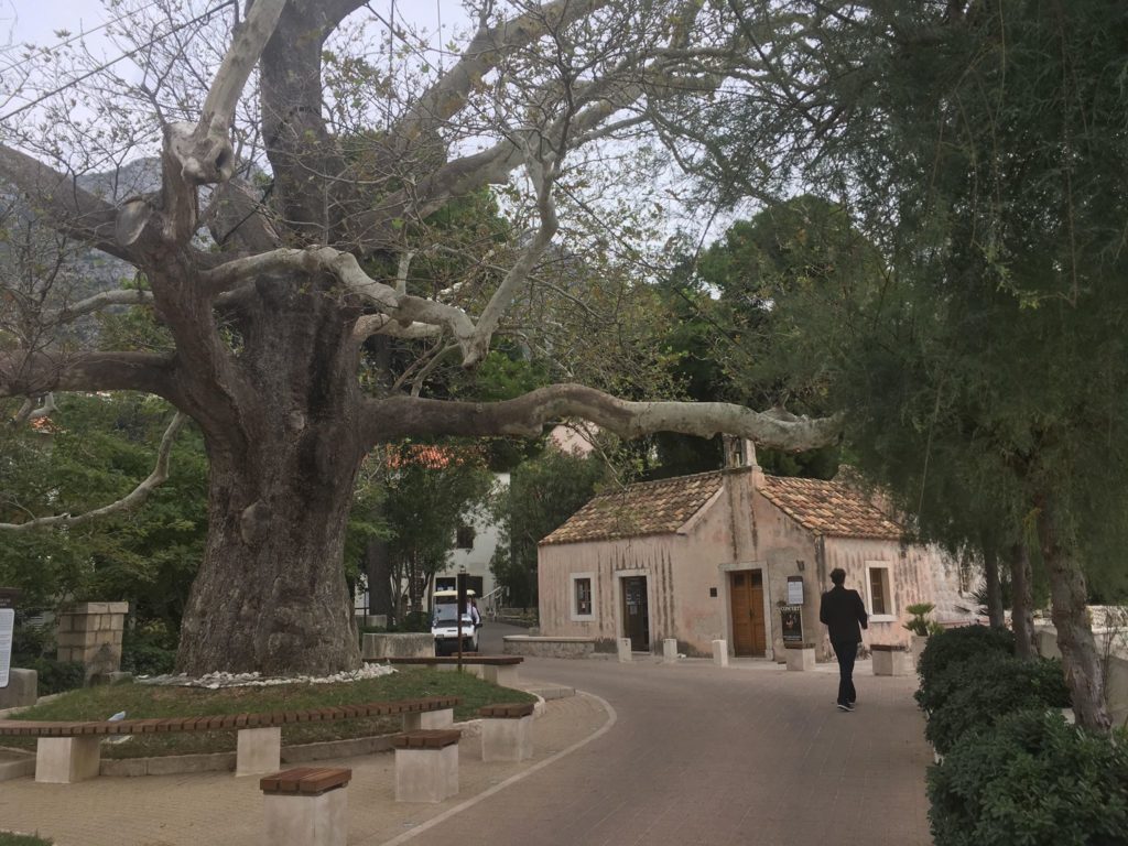 Central path which came from the hotel, winding down towards the seafront. An old dusky pink chapel is located on the right of the picture. Leon is walking towards the chapel. A large pretty leafless tree in the centre of a grass circle on the left side.